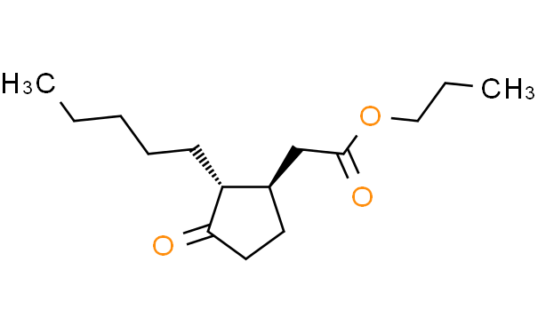 �������������(PDJ)